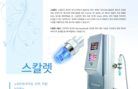 스칼렛